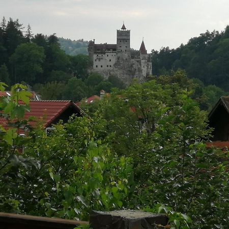 Pensiunea Transilvania Lodge Μπραν Εξωτερικό φωτογραφία
