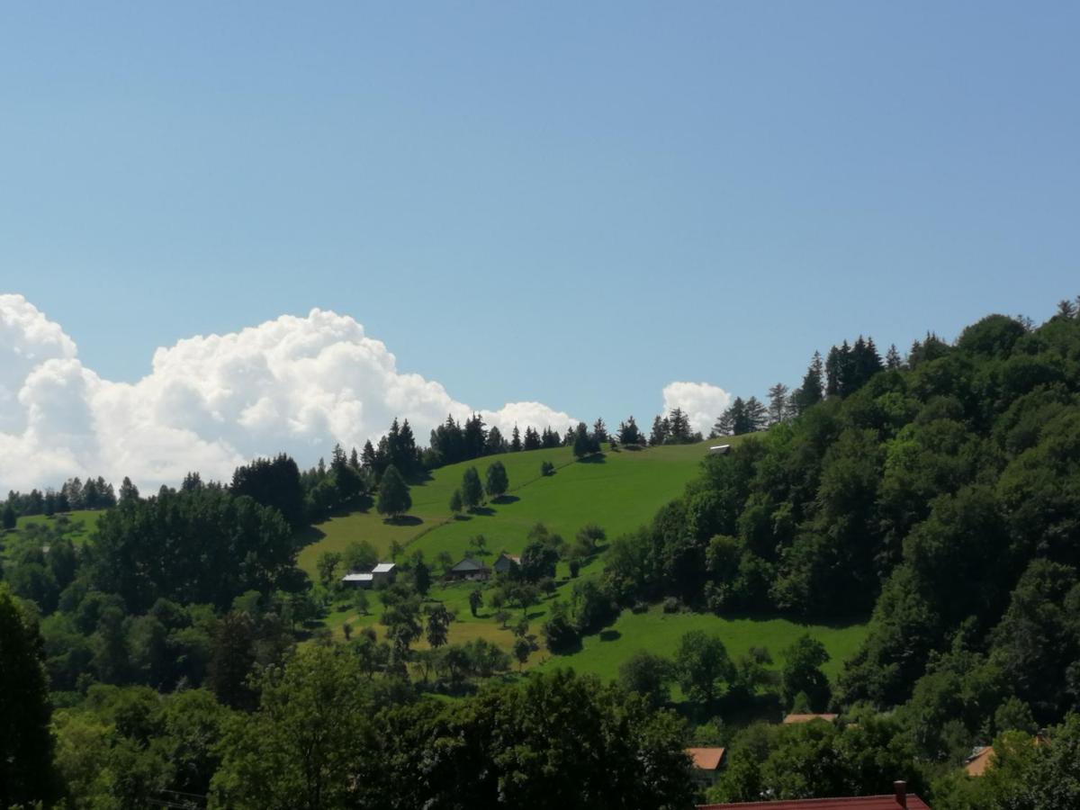 Pensiunea Transilvania Lodge Μπραν Εξωτερικό φωτογραφία