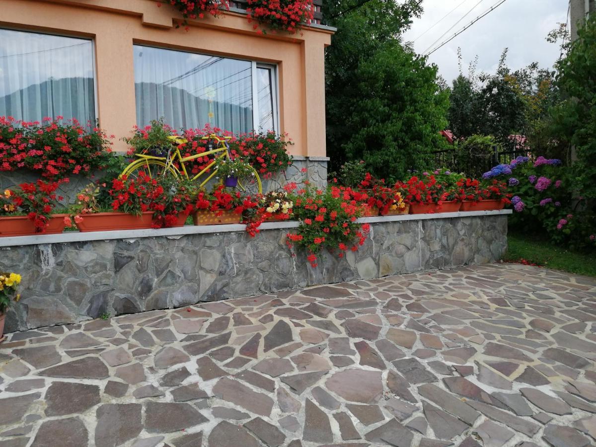 Pensiunea Transilvania Lodge Μπραν Εξωτερικό φωτογραφία