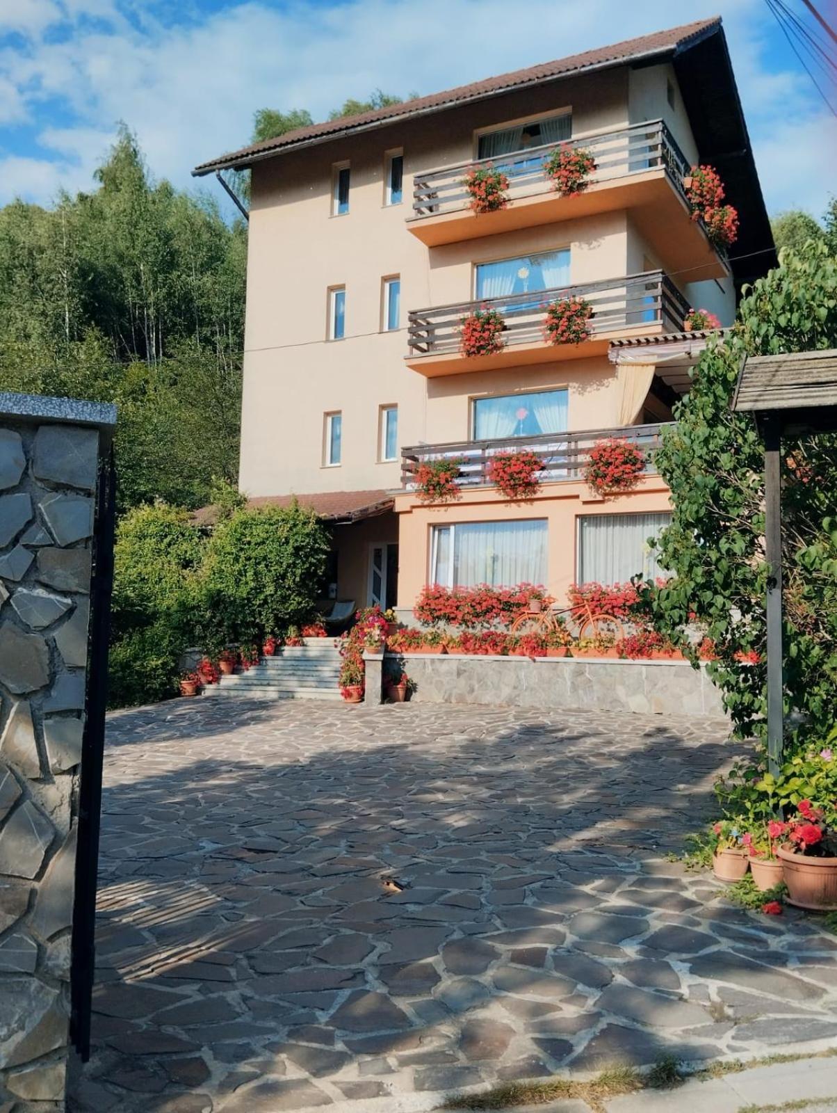 Pensiunea Transilvania Lodge Μπραν Εξωτερικό φωτογραφία