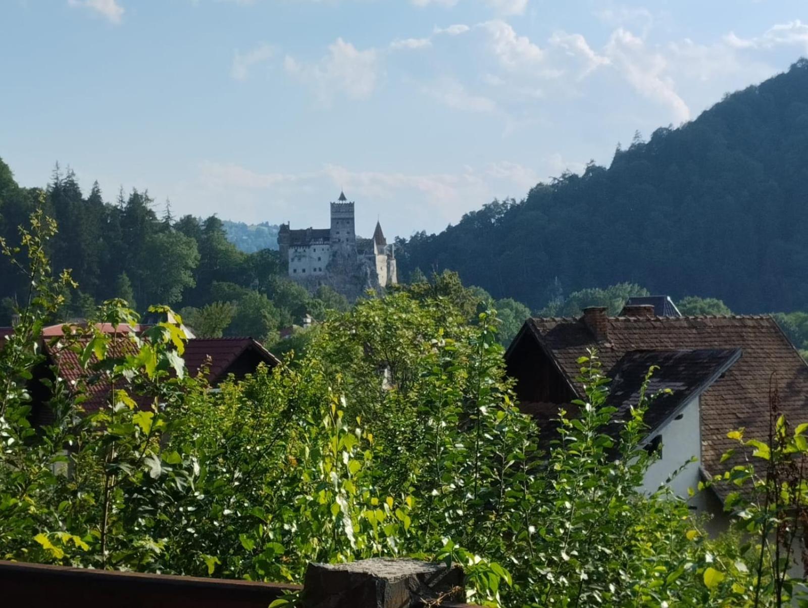 Pensiunea Transilvania Lodge Μπραν Εξωτερικό φωτογραφία