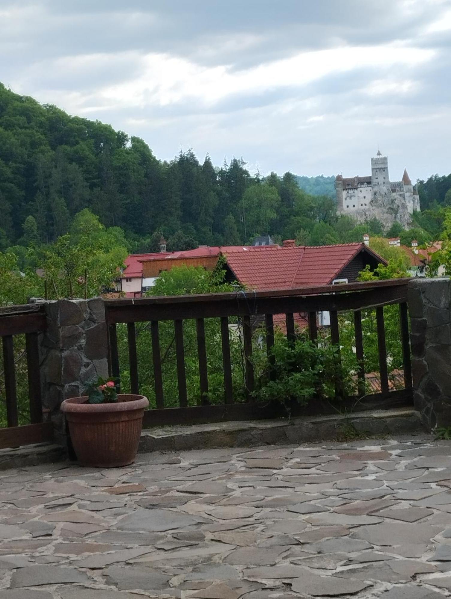 Pensiunea Transilvania Lodge Μπραν Εξωτερικό φωτογραφία